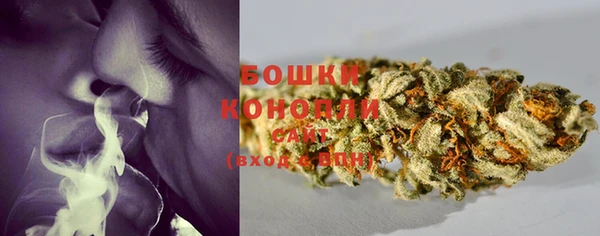 мдпв Волосово