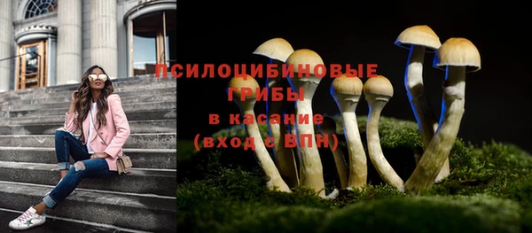 мдпв Волосово